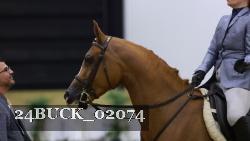 24BUCK_02074 thumbnail