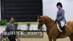 24BUCK_02075 thumbnail