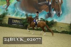 24BUCK_02077 thumbnail