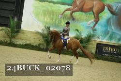 24BUCK_02078 thumbnail