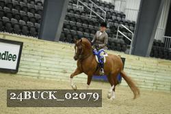 24BUCK_02079 thumbnail