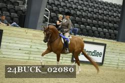 24BUCK_02080 thumbnail