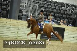 24BUCK_02081 thumbnail