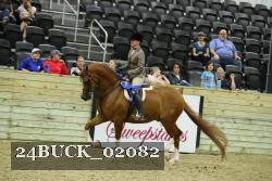 24BUCK_02082 thumbnail
