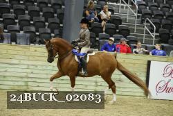 24BUCK_02083 thumbnail