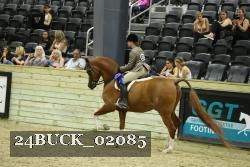 24BUCK_02085 thumbnail