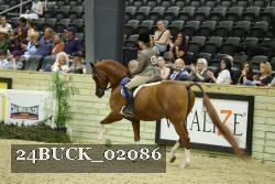 24BUCK_02086 thumbnail