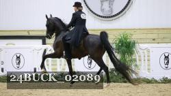 24BUCK_02089 thumbnail