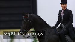 24BUCK_02092 thumbnail