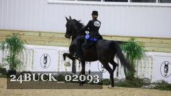 24BUCK_02093 thumbnail