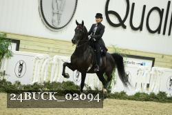 24BUCK_02094 thumbnail