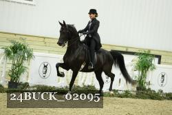 24BUCK_02095 thumbnail