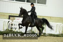 24BUCK_02096 thumbnail