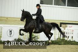 24BUCK_02097 thumbnail