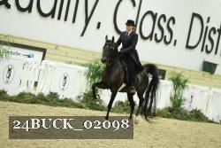 24BUCK_02098 thumbnail