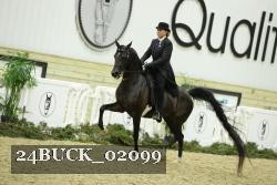 24BUCK_02099 thumbnail