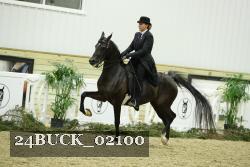 24BUCK_02100 thumbnail