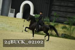 24BUCK_02102 thumbnail