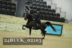 24BUCK_02103 thumbnail