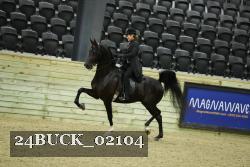 24BUCK_02104 thumbnail