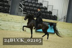 24BUCK_02105 thumbnail
