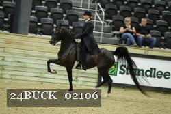 24BUCK_02106 thumbnail