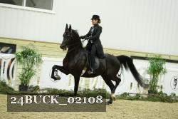 24BUCK_02108 thumbnail