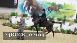 24BUCK_02109 thumbnail