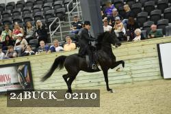 24BUCK_02110 thumbnail
