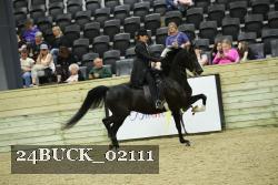 24BUCK_02111 thumbnail