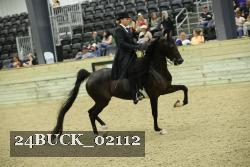 24BUCK_02112 thumbnail