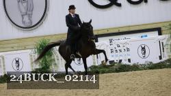 24BUCK_02114 thumbnail