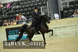 24BUCK_02115 thumbnail