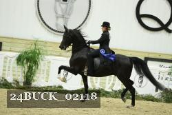24BUCK_02118 thumbnail