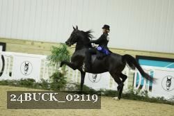 24BUCK_02119 thumbnail