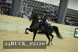 24BUCK_02120 thumbnail