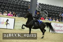 24BUCK_02123 thumbnail