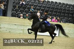 24BUCK_02124 thumbnail