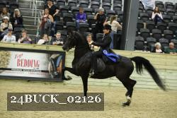 24BUCK_02126 thumbnail
