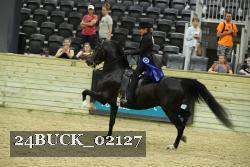 24BUCK_02127 thumbnail