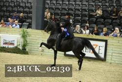 24BUCK_02130 thumbnail