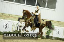 24BUCK_02134 thumbnail