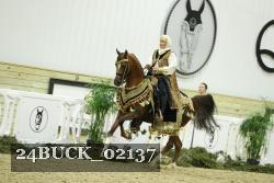 24BUCK_02137 thumbnail