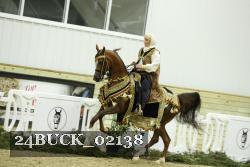 24BUCK_02138 thumbnail