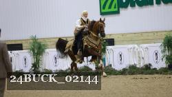 24BUCK_02144 thumbnail