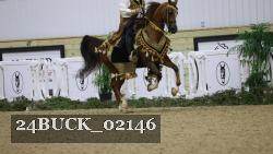 24BUCK_02146 thumbnail