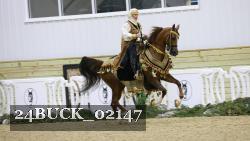 24BUCK_02147 thumbnail