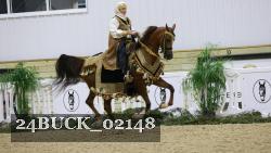 24BUCK_02148 thumbnail