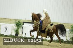 24BUCK_02152 thumbnail