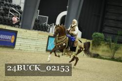 24BUCK_02153 thumbnail